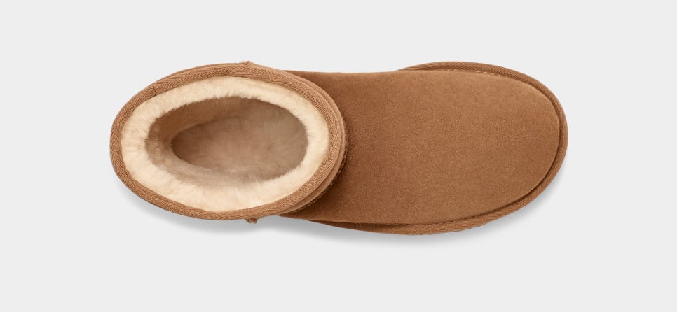 Classic Short II Chestnut