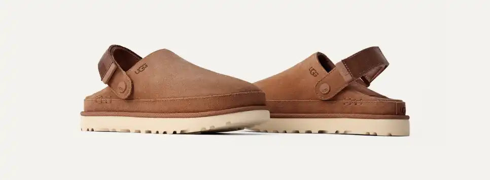 Goldenstar Chestnut Hoof