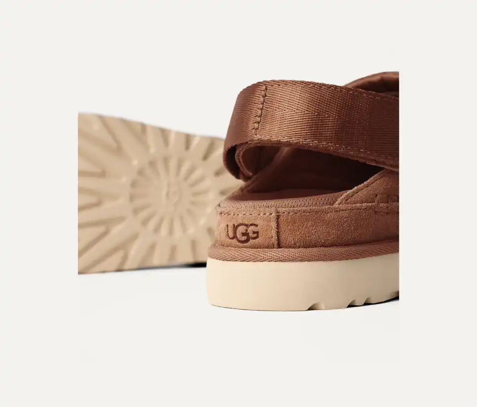 Goldenstar Chestnut Hoof
