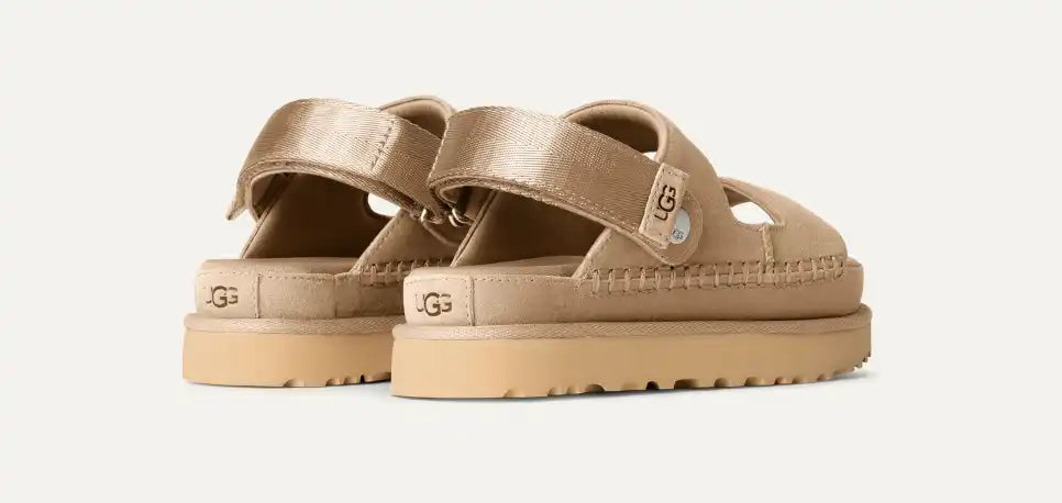 Goldenstar Glide Chestnut