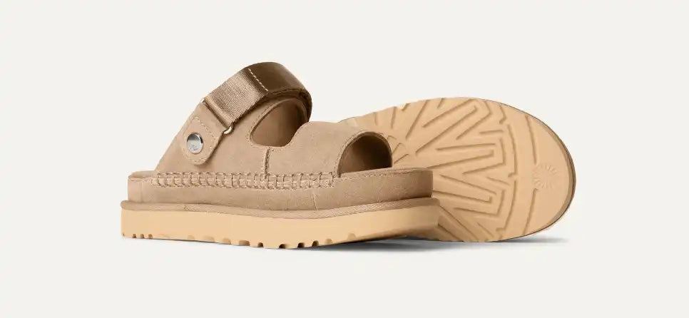 Goldenstar Glide Chestnut