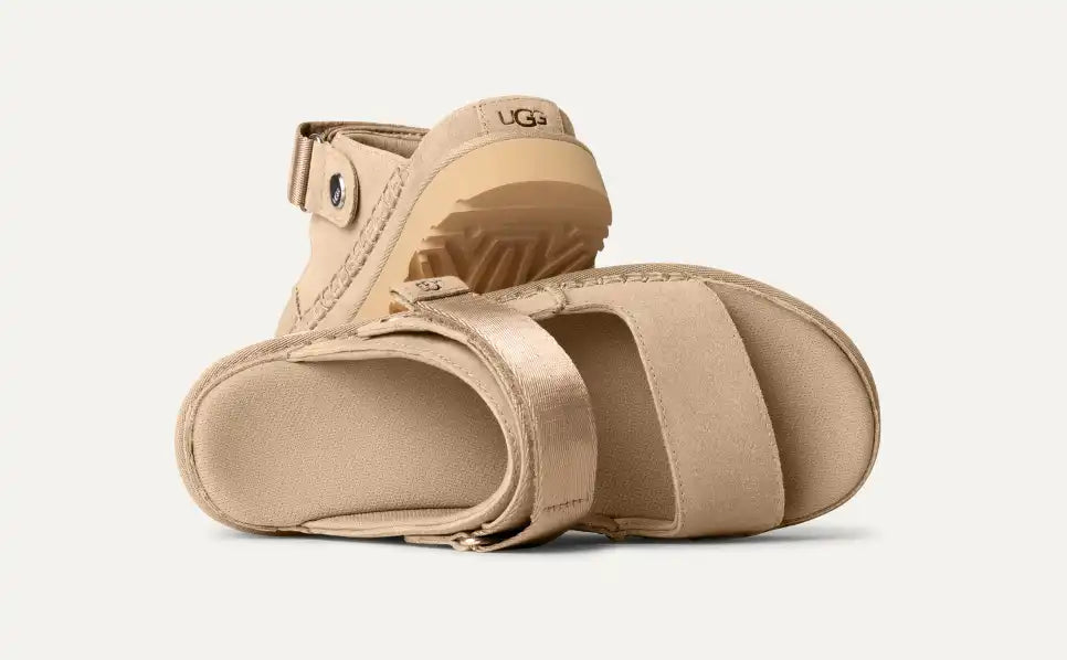 Goldenstar Glide Chestnut