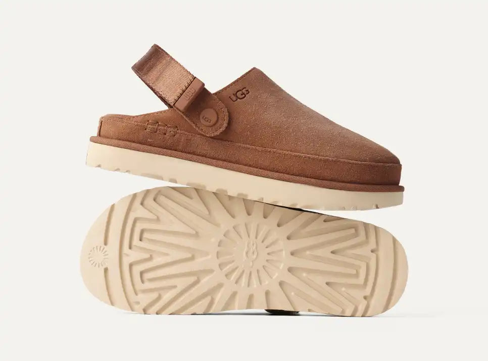 Sabot Goldenstar Chestnut