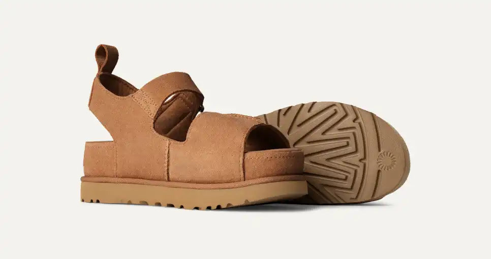Goldenstar Hi chestnut